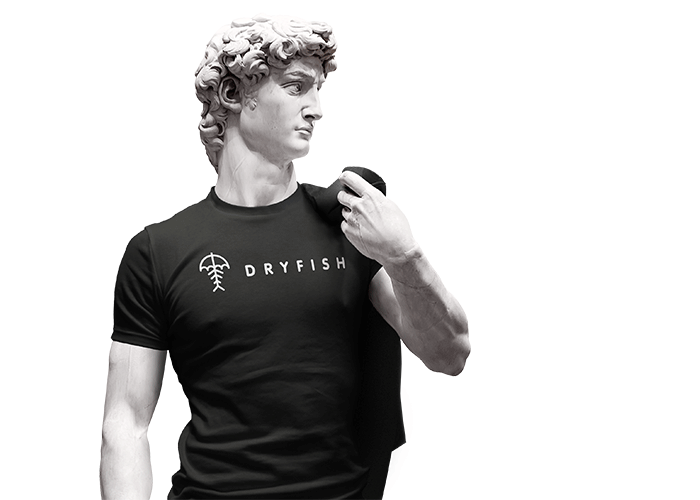 dryfish-logo-marca-ropa-branding-camiseta